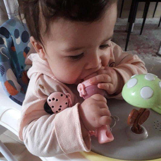 Baby Fruit Feeder with Pacifier Chain – Fresh Food Nibbler